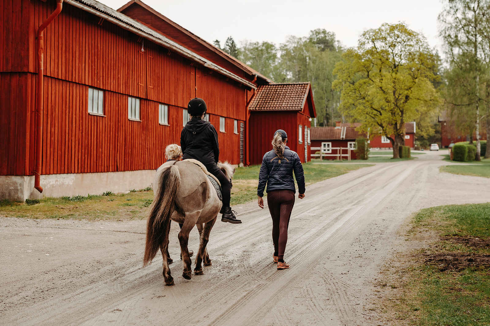 Träning och fysisk aktivitet